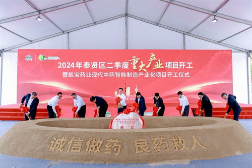 国家级绿色工厂加码赋能，奉贤二季度项目集群投资近47亿元展现强劲动能