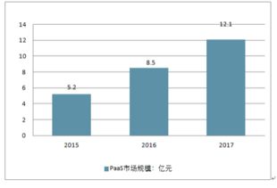 2019-2025年中国SaaS软件运营服务行业深度研究与投资战略咨询报告